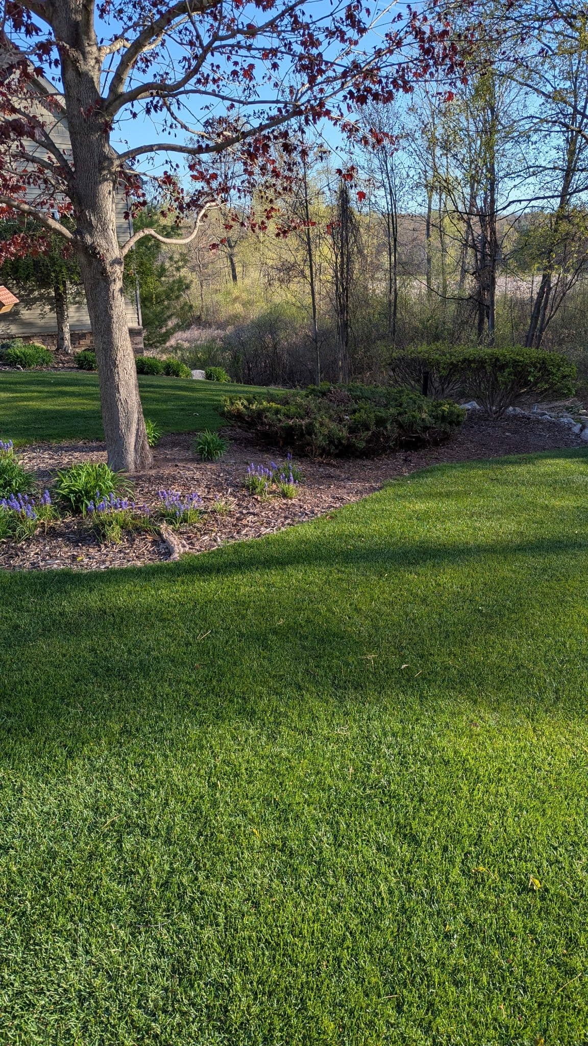 Project Old Mulch Out, River Rock In - A Sharp Low-Maintenance Upgrade image