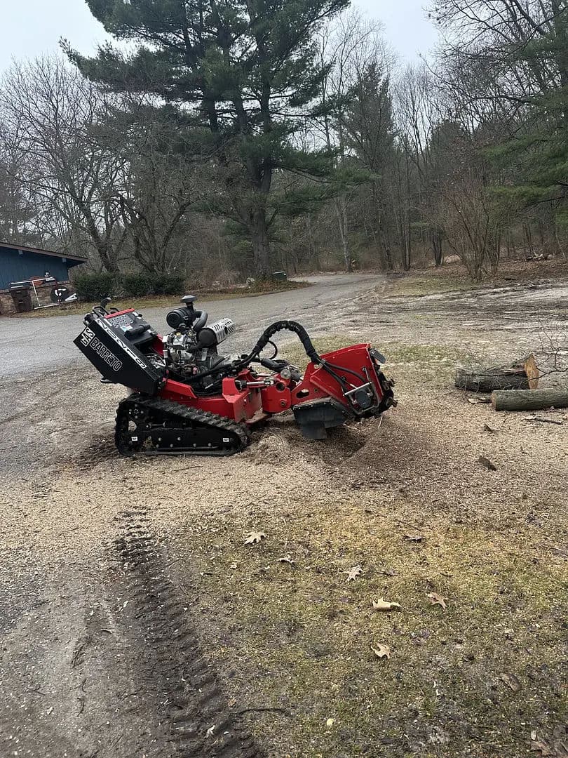 Compact red tracked stump grinder working on a gravel path in a wooded area.