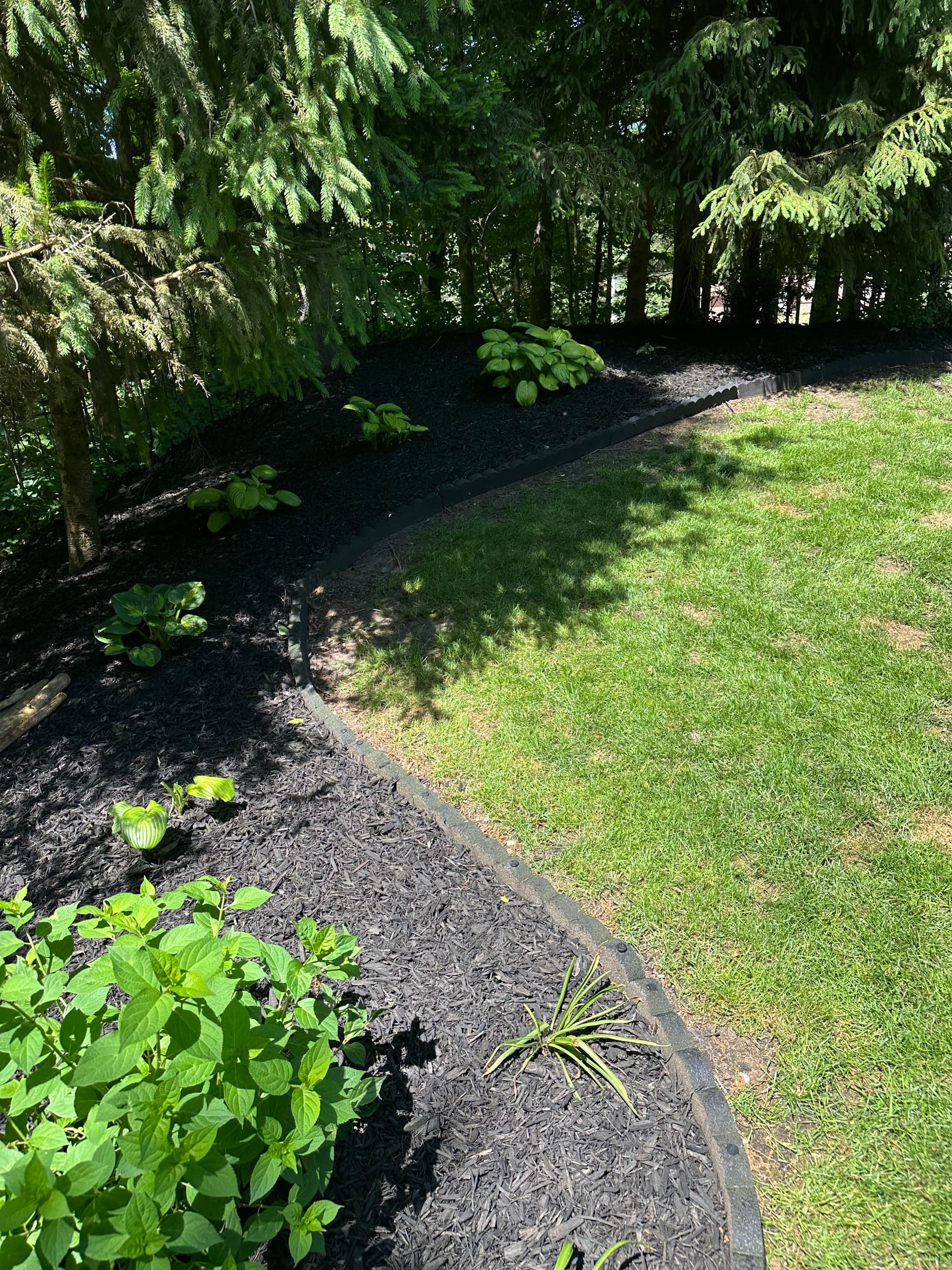 Gallery photos for Fresh Mulch and a Full Lawn Refresh Done Right: Image #2
