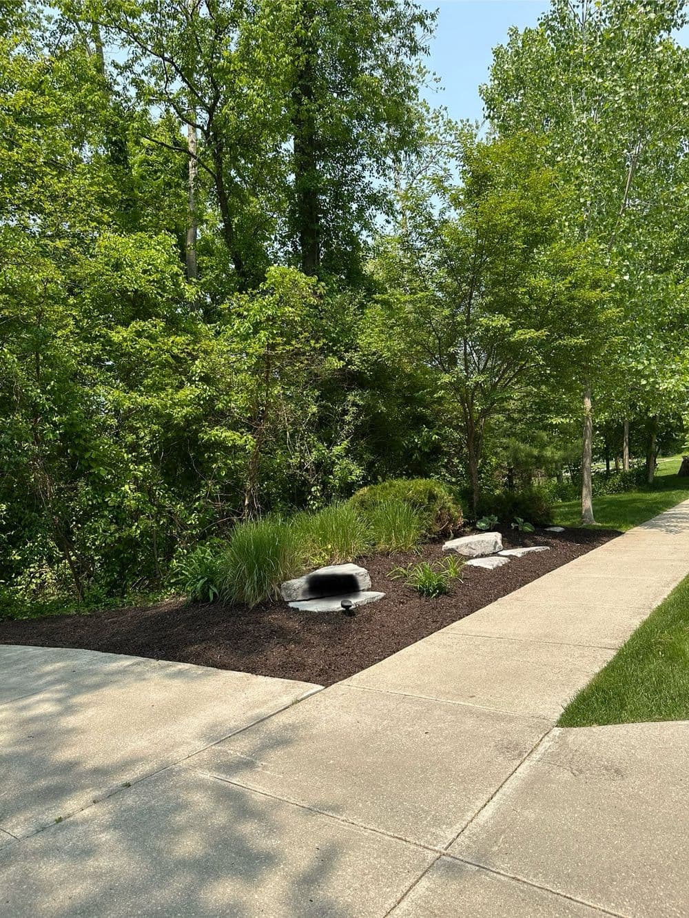 Lush green landscaping with rocks and shrubs along a concrete walkway in a sunny park setting.