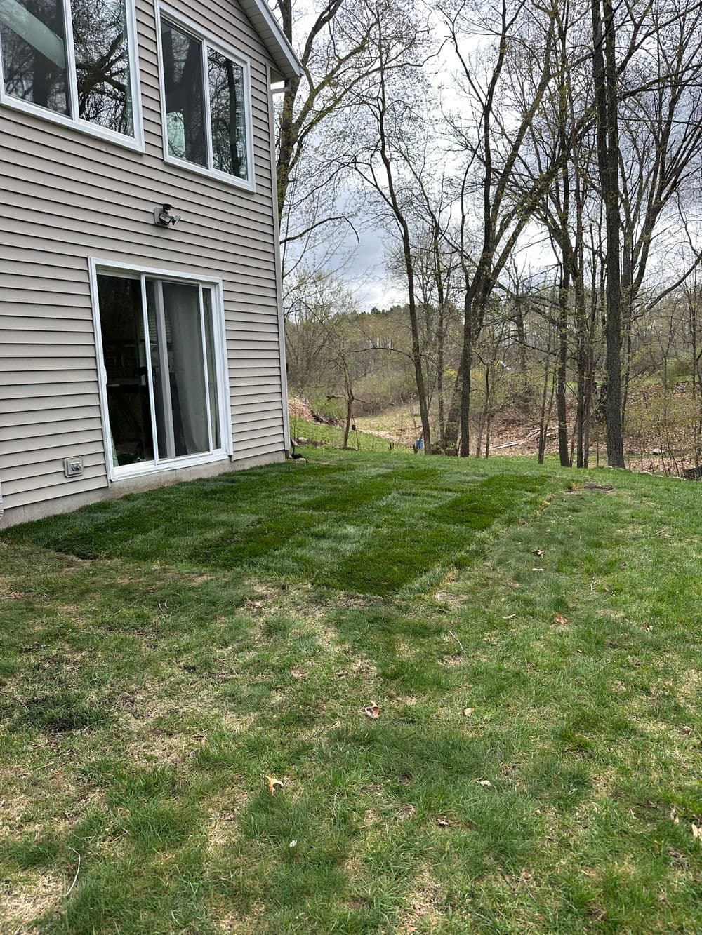 Lush green lawn beside a house with large windows and trees in the background.