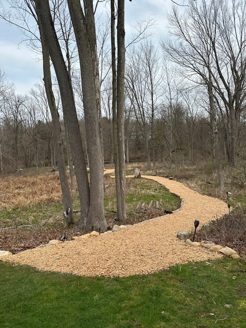 Winding gravel path through a wooded area with bare trees and spring foliage.