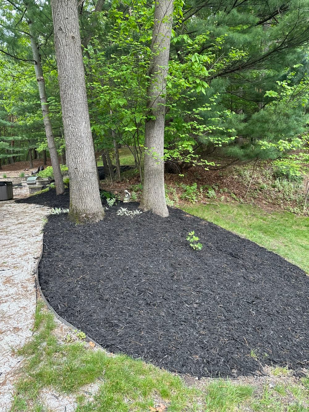 Black mulch landscaping featuring trees and green foliage in a lush garden setting.