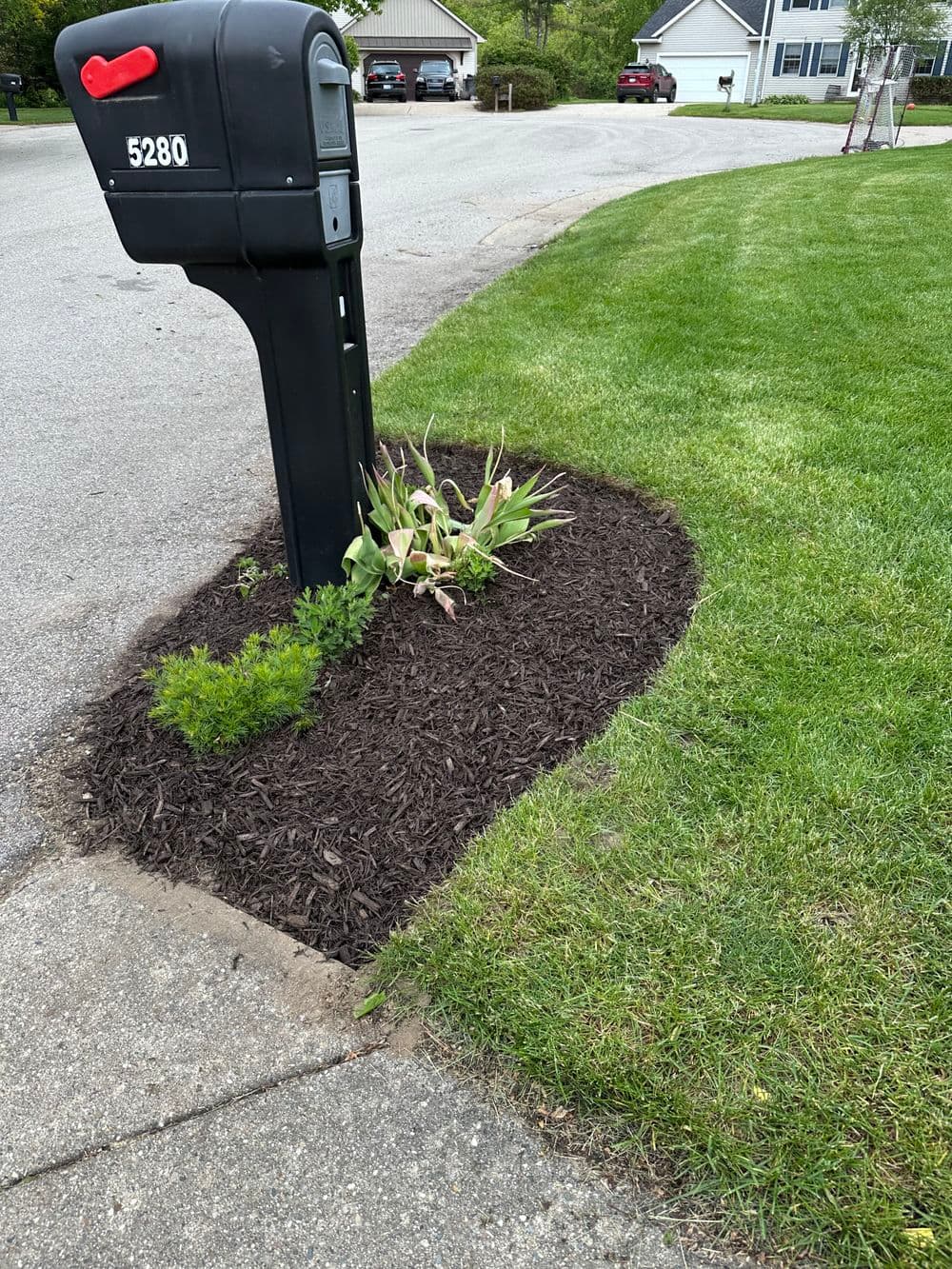 Black mailbox at 5280 with landscaped flower bed and fresh mulch on a residential street.