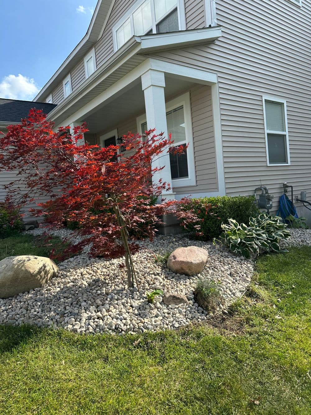 Red maple tree beside a modern home, featuring stone landscaping and lush green grass.