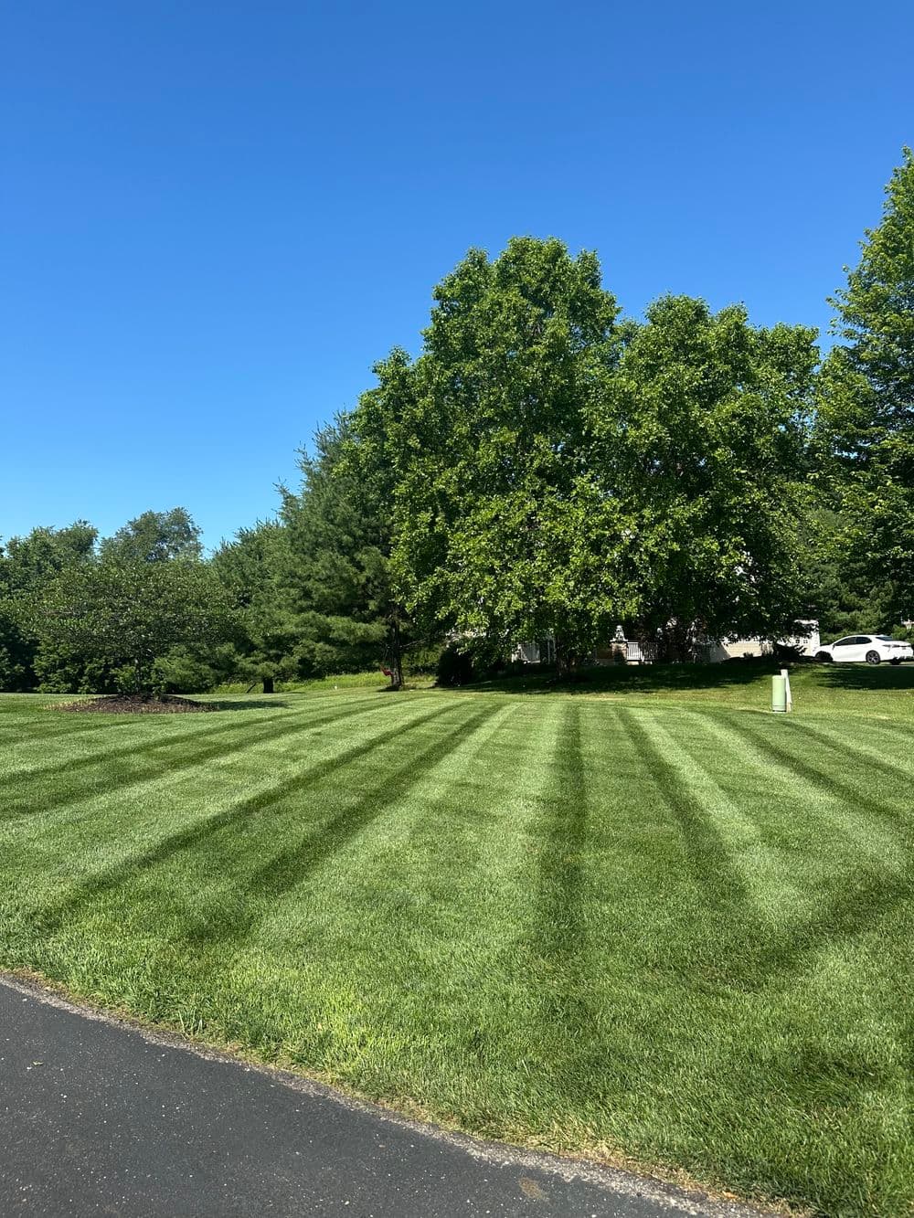 Lush green lawn with striped mowing patterns under a clear blue sky and trees in the background.